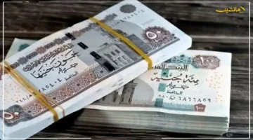 رسميًا.. موعد صرف مرتبات شهر سبتمبر 2025 للموظفين مع التأكيد على عدم وجود زيادات 1